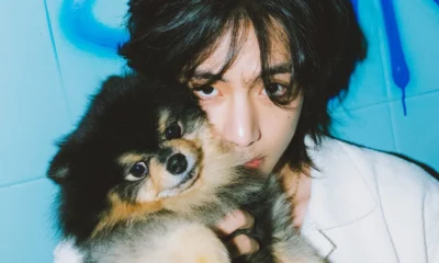 Yeontan